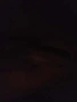 mask011 live XXX chat