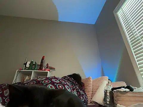 angelthegodis 라이브 XXX 채팅