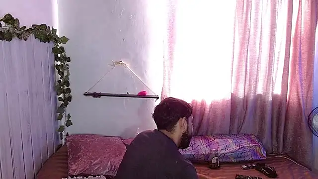 عرض كام curvivan