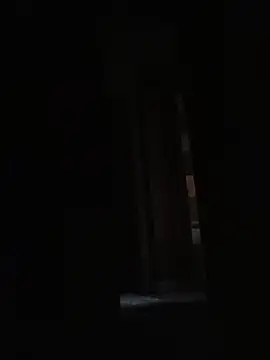 Your_Secret_Slave: διαδικτυακό σόου στην κάμερα