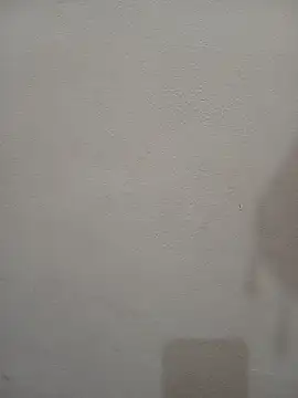Tanha18 现场XXX聊天