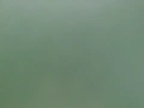 Louis_Caox élő XXX-chatje
