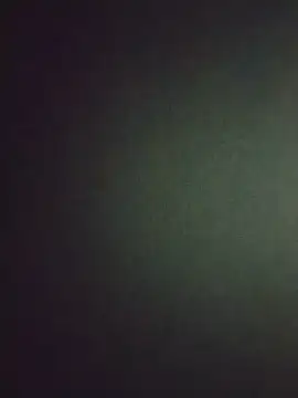 Popzbo 웹캠 쇼