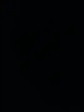 Show webcam de bert199