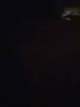 צ'אט XXX בשידור חי של Beyond1978