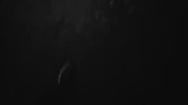 Vuitton Chat XXX live