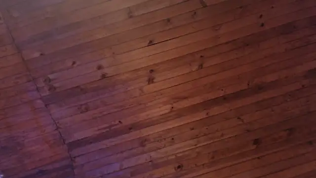 ArturoCardona_ webkamerás műsora