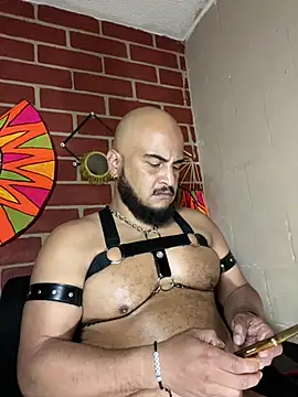 Chat XXX Live the_master_foal_