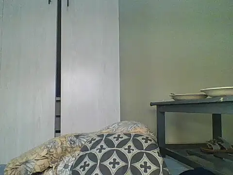 Chat +18 de wildbreasts ao vivo