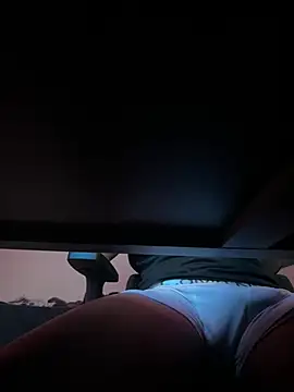 הופעת וובקאם של novinho20cm_ws