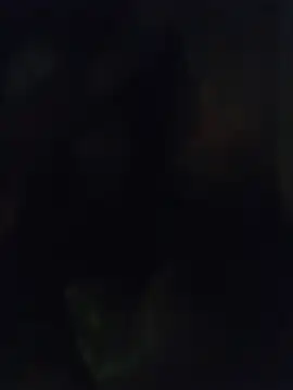 HaKaKing Live XXX-Chat