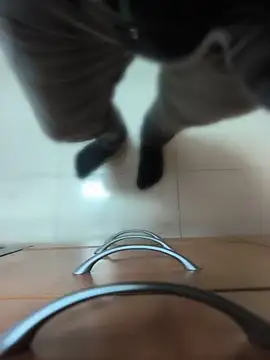 soyyoelque4 live XXX chat