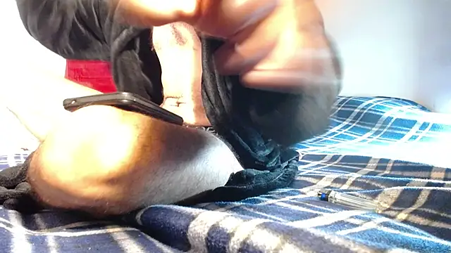 Chat XXX Live PigPedro
