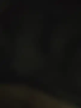 Chat XXX en directo de bottom_monty
