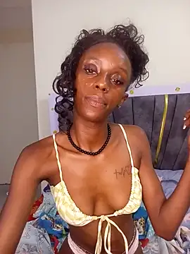 Chat +18 de FlexyTracy ao vivo