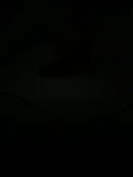 XXX chat uživo modela kotkite