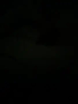 Živý XXX chat kotkite