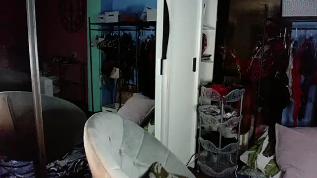 Chat XXX Live AnyBase