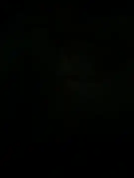 Živý XXX chat kotkite