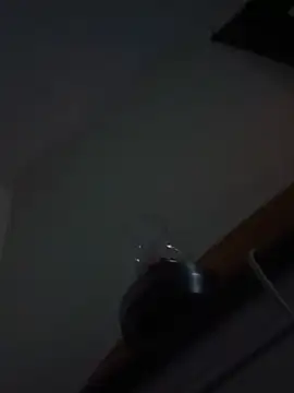 crazycam619's Live XXX Chat