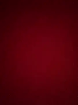 Raffaaass 网络视讯表演