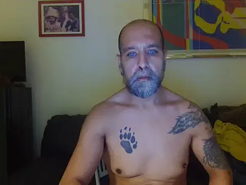 AMIRDIB2025 – Live XXX-chat
