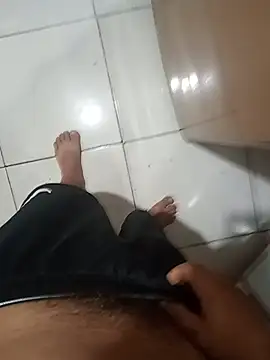 Show webcam de luiztesaok
