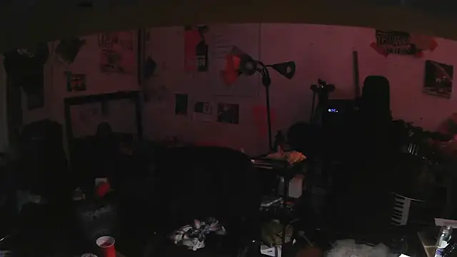 vdostman66 Webcamshow