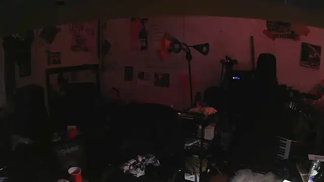 vdostman66 webcam show