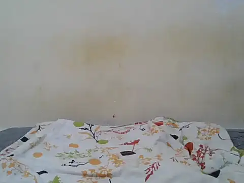 צ'אט XXX בשידור חי של Hornysmoker20