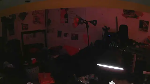 vdostman66 webkamerás műsora