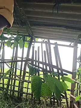 96Rohon 现场XXX聊天