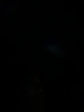 LeBimbo's Live XXX Chat
