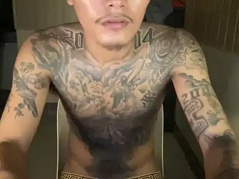 Ceesteve_hot 웹캠 쇼