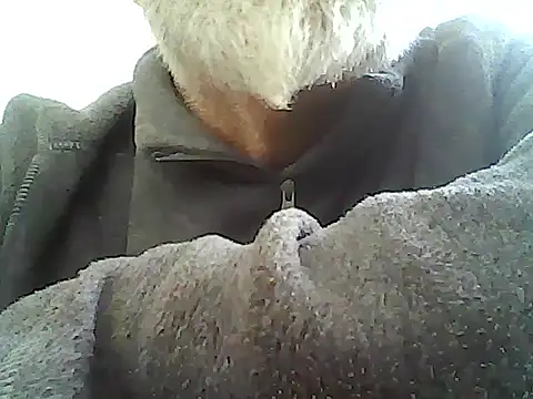 xcimeru Webcam show
