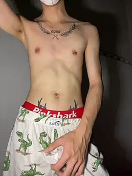 linhfag Live XXX-chat