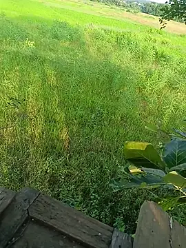 Pertunjukan Kamera Web Jyoti_telugu
