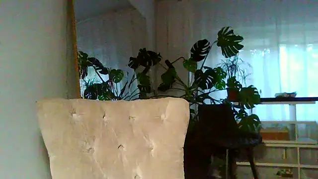 XXX chat uživo modela Ms-Lust1-