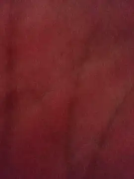 عرض كام Z_O_A