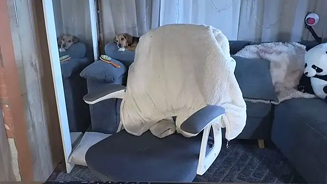 Chat +18 de LoreShark ao vivo