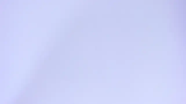 Chat XXX Live EvansHills