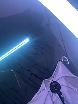 SamathaMay 라이브 XXX 채팅