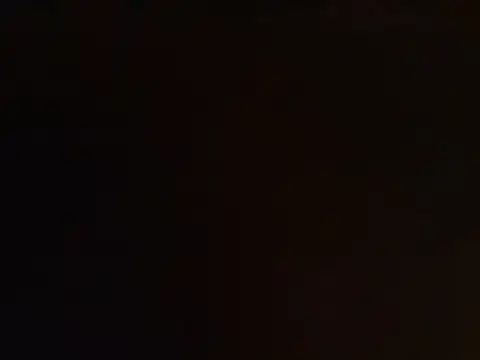 Show webcam de Dingdong1210
