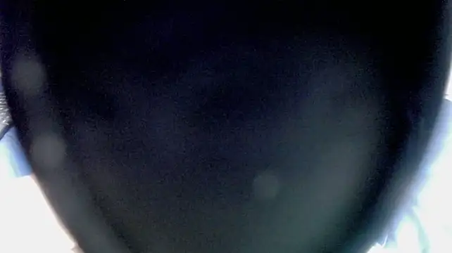 Asher_athlets' Live XXX Chat