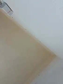 Salma_dalouaa 웹캠 쇼