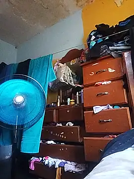 CHO8708's Webcam Show