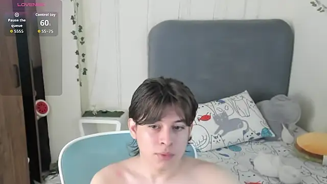 הופעת וובקאם של FelixSoft
