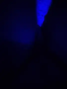 hot_to_handel Webcam-Show