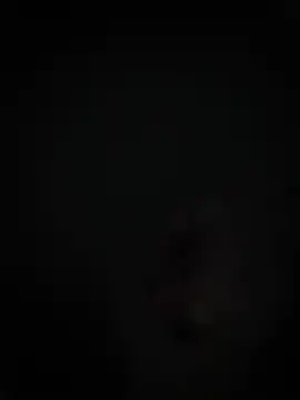 Veterwpole's Live XXX Chat