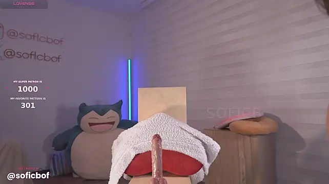 sofi_sc 라이브 XXX 채팅